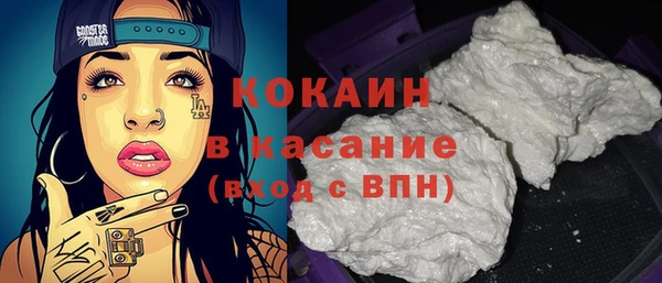 ешки Корсаков