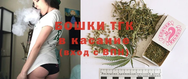 ешки Корсаков