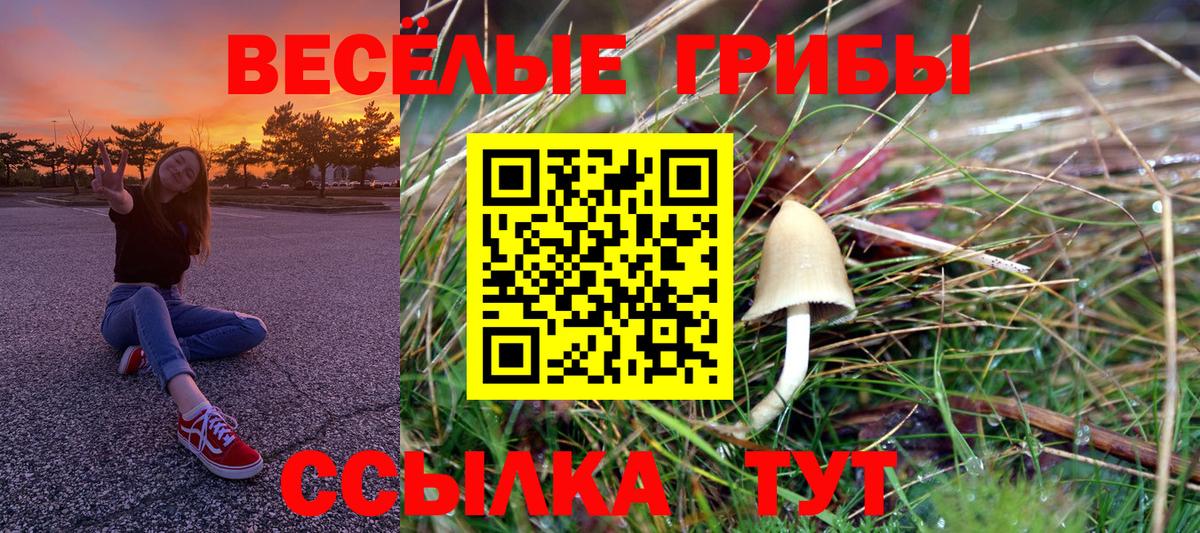 Маркс  Галлюциногенные грибы прущие грибы  купить наркотик  Вход с VPN 
