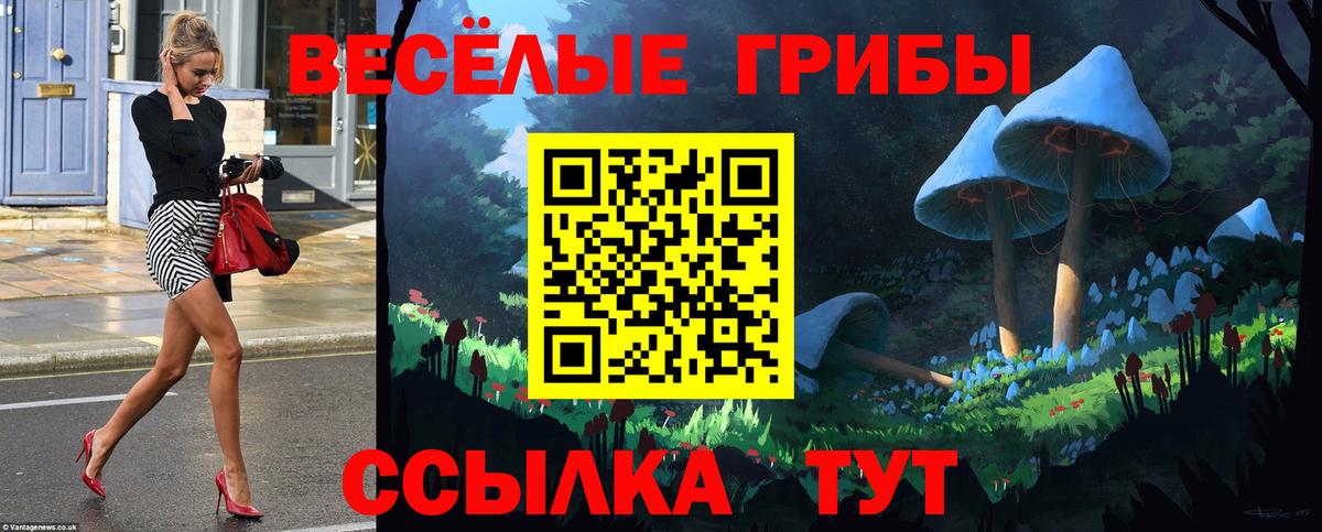 Галлюциногенные грибы Psilocybine cubensis Маркс